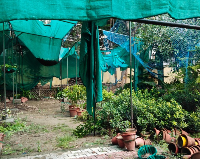 Shyam Lal College Campus photo 25